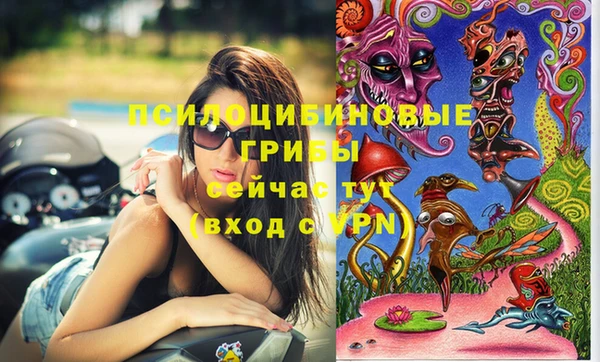 твердый Ростов