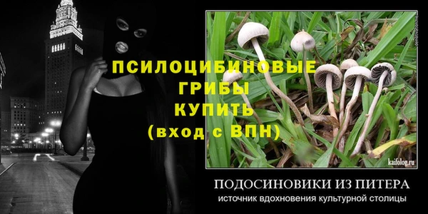 твердый Ростов