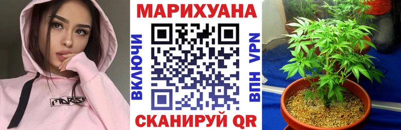 Конопля Amnesia  Купить  Абдулино 